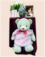 Diane's Urn and Cancer Bear